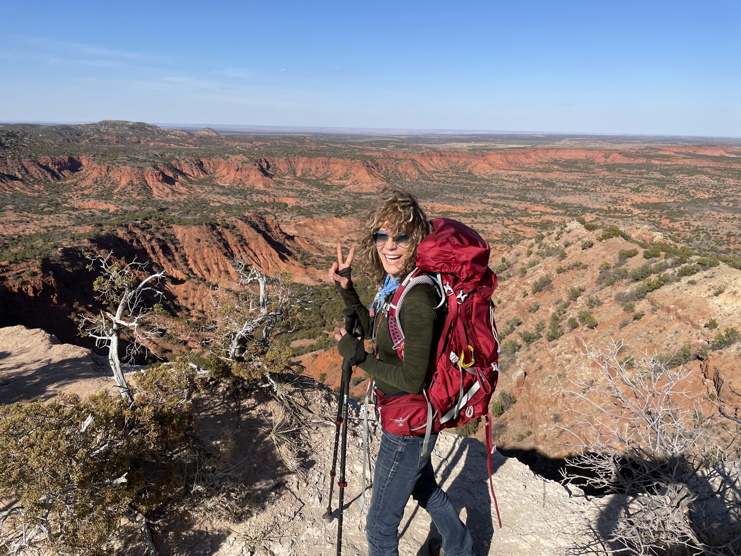 Red Rock, Views, and Bison Galore!